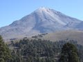 MEXICO Chiapas Decaf