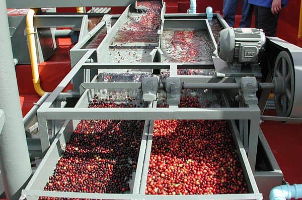 BRAZIL Monte Alegre Leira Natural Fermentation ⁡