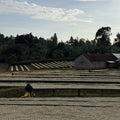 KENYA Guama Factory Washed