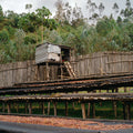 ETHIOPIA Morke Nigusse Gemeda Natural