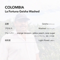 COLOMBIA La Fortuna Geisha Washed