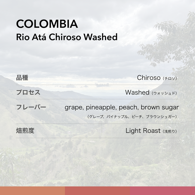 COLOMBIA Rio Atá Chiroso Washed