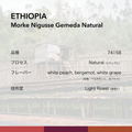 ETHIOPIA Morke Nigusse Gemeda Natural