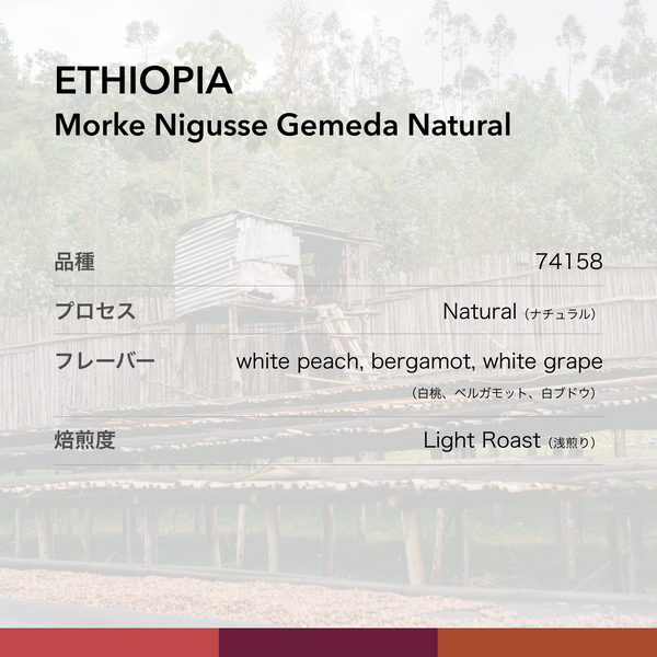 ETHIOPIA Morke Nigusse Gemeda Natural