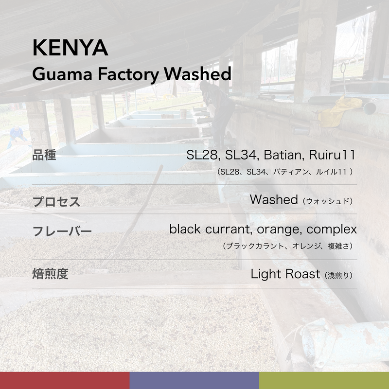 KENYA Guama Factory Washed