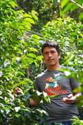 PERU El Renacer SL9 Washed