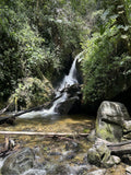 COLOMBIA Rio Atá Chiroso Washed