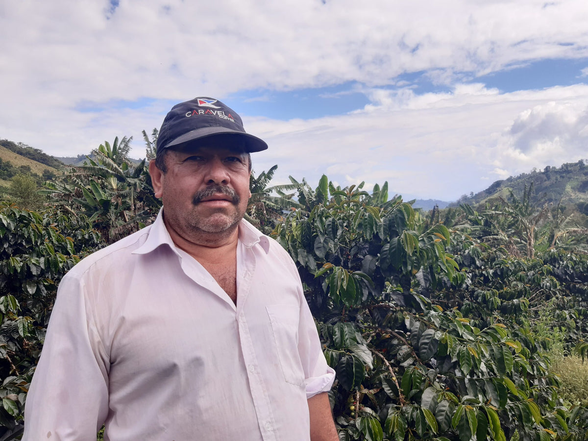 COLOMBIA La Fortuna Geisha Washed